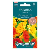 СЕМЕНА ГРАДИНАР ЦВЕТЯ ЛАТИНКА ПЪЛЗЯЩА