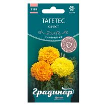 СЕМЕНА ГРАДИНАР ЦВЕТЯ ТАГЕТИС КИЧЕСТ