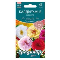 СЕМЕНА ГРАДИНАР ЦВЕТЯ КАЛДЪРЪМЧЕ КИЧ.