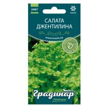 СЕМЕНА ГРАДИНАР САЛАТА ДЖЕНТЕЛИНА