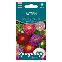СЕМЕНА ГРАДИНАР ЦВЕТЯ АСТРА ПРИНЦЕСА