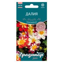 СЕМЕНА ГРАДИНАР ЦВЕТЯ ДАЛИЯ МИКС