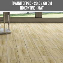ГРАНИТОГРЕС ARIN BROWN 20.5/60