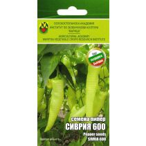 СЕМЕНА ИЗК МАРИЦА ПИПЕР СИВРИЯ