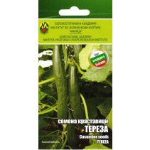 СЕМЕНА ИЗК МАРИЦА КРАСТАВИЦИ ТЕРЕЗА Ф1