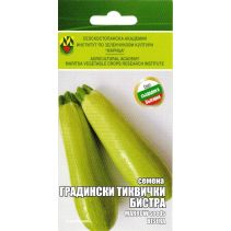 СЕМЕНА ИЗК МАРИЦА ТИКВИЧКА БИСТРА