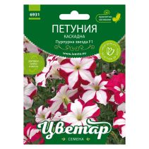 СЕМЕНА ЦВЕТАР ПЕТУНИЯ КАСКАДНА ПУРПУРНА