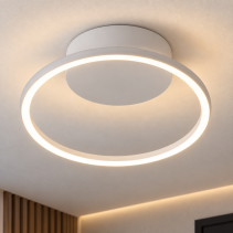 ПЛАФОН LED RIKO 20W 30-60К 350MM WH