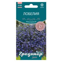 СЕМЕНА ГРАДИНАР ЛОБЕЛИЯ