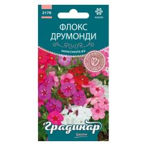 СЕМЕНА ГРАДИНАР ФЛОКС ДРУМОНДИ