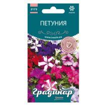 СЕМЕНА ГРАДИНАР ПЕТУНИЯ