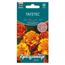 СЕМЕНА ГРАДИНАР ТАГЕТЕС ЛИЛИПУТ