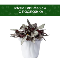 САКСИЯ PVC ONDA БЯЛА Ф30 СМ+ ПОДЛОЖКА
