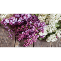 ПОДЛОЖКА ЗА СЕРВИРАНЕ 43/28 LILAC