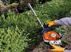 Първи стъпки при рязане на храсти