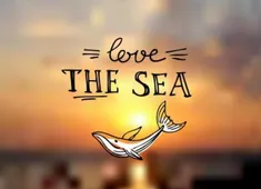 Как да пренесем морето у дома?