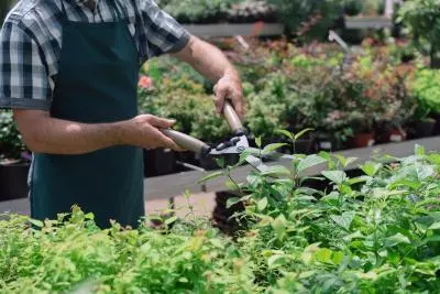 Аксесоари за вашия двор – обезпечете поливането