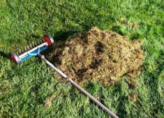 Схема за торене на райграс