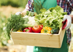 Как да отгледаме качествени зеленчуци в двора