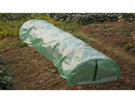 Тунелни оранжерии (парници)