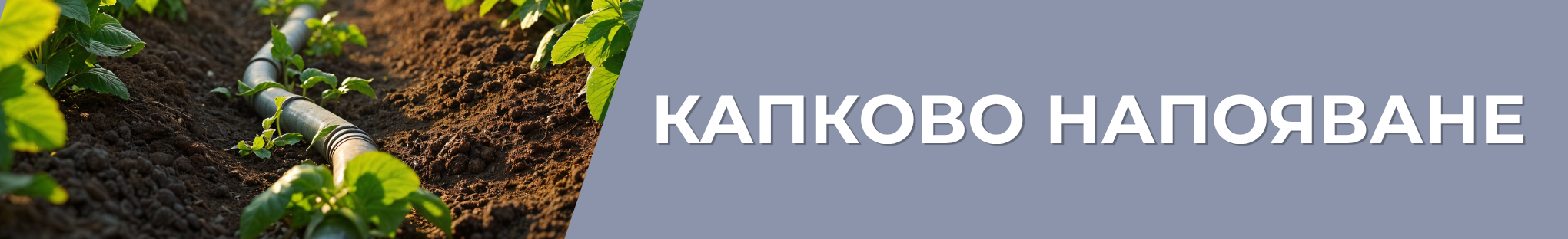 серия голд