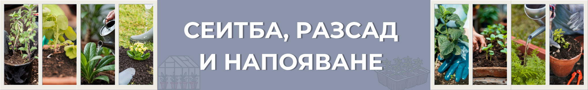 серия голд