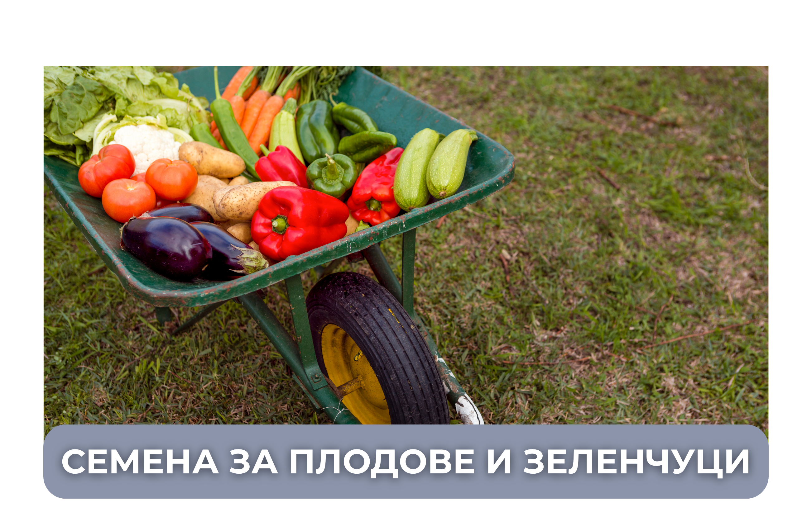серия голд