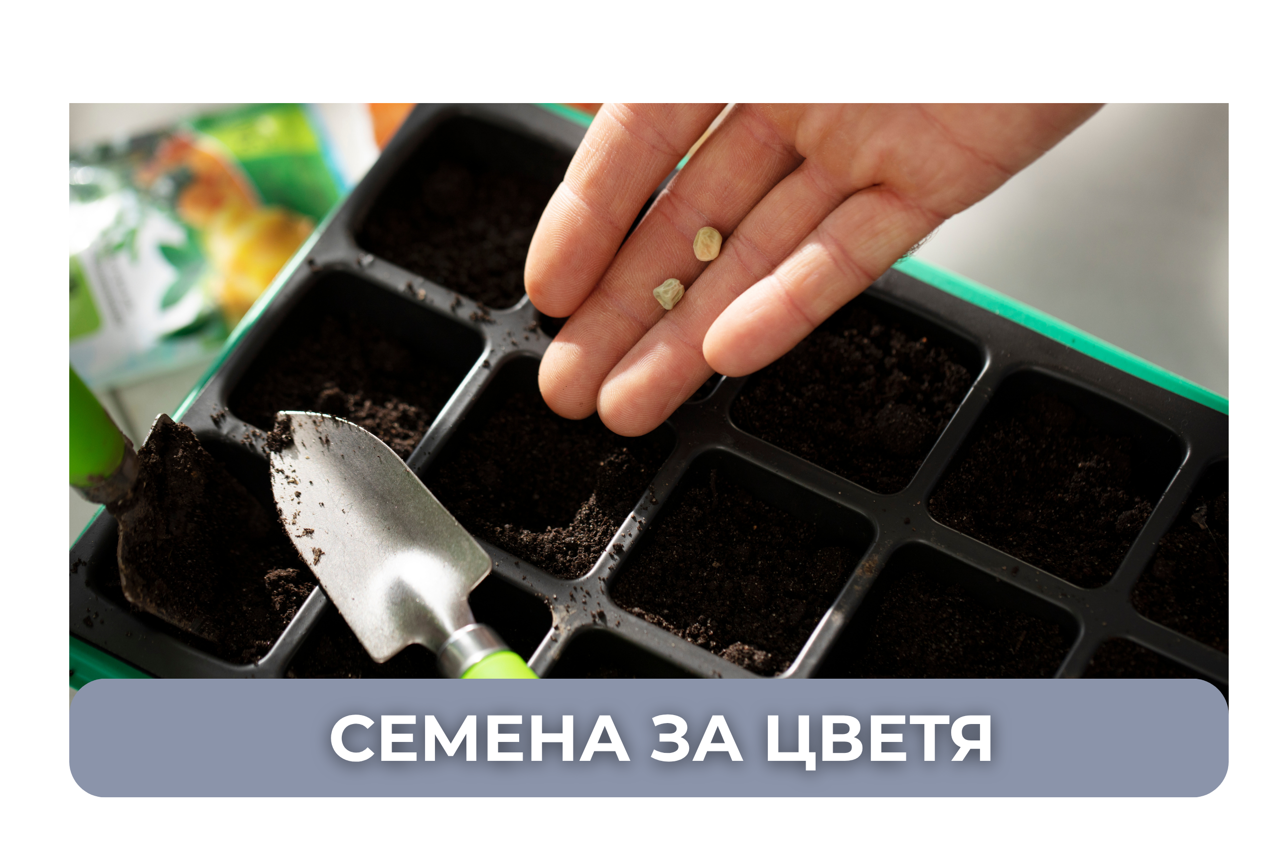 серия голд