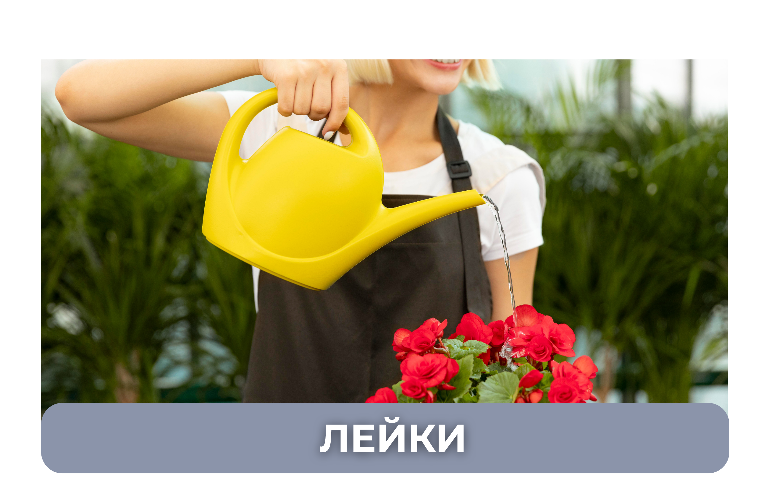 серия голд