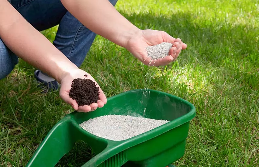 Торове за райграс